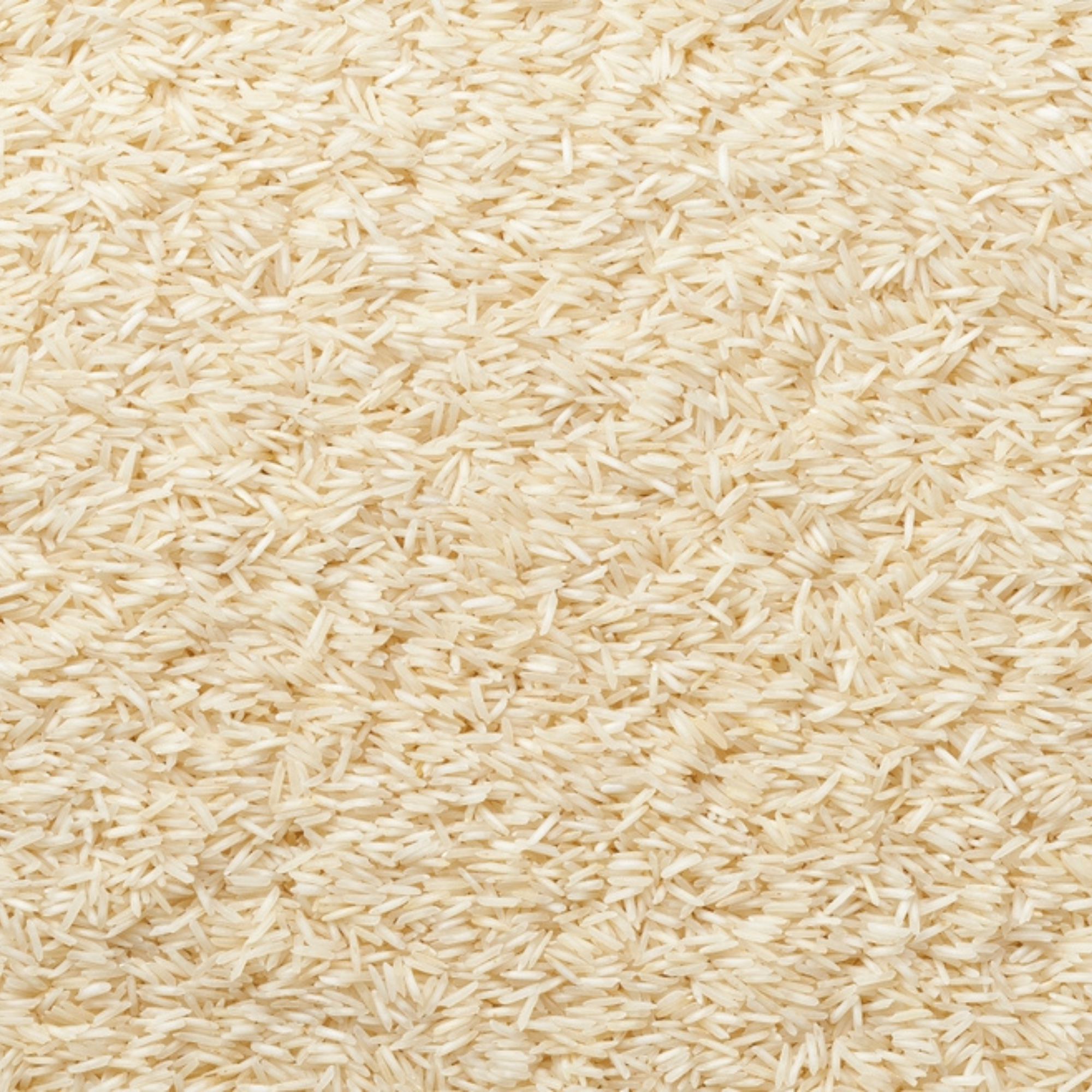Basmati Rice |Organic Basmati Rice | Long Grain Basmati Rice | Aromatic Rice | Gluten Free | Best Indian Basmati Rice