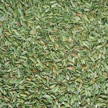 Organic Fennel Seeds (Saunf) | Best Organic Fennel Seeds |  |  Ideal for Mouth Freshener, Tea & Digestive Mixes