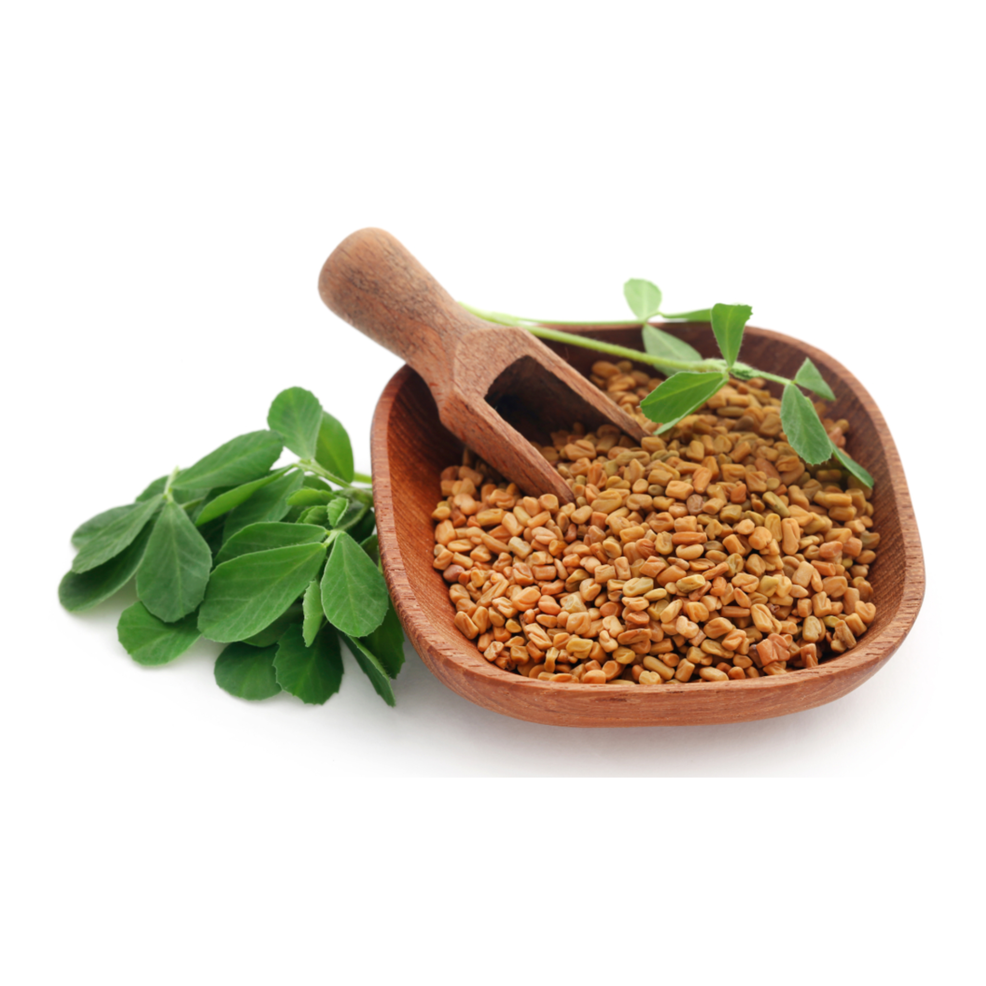 Organic Fenugreek Seeds | Ayurvedic Fenugreek Seeds | Whole Fenugreek Seeds | Methi Seeds