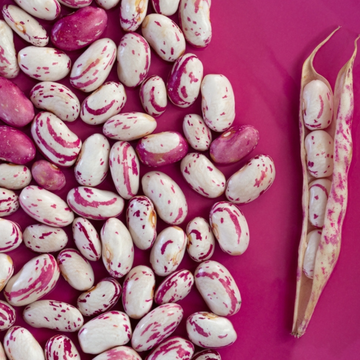 Kidney Beans | Pink Kidney Beans | Chitra Rajma | Organic Kidney Beans | High Protein Kidney Beans | Low Fat Kidney Beans