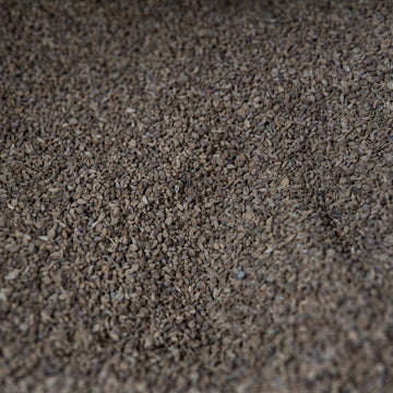Organic Carom Seeds | Pure Carom Seeds | Ajwain Seeds | Organic Ajwain | Whole Carom Seeds