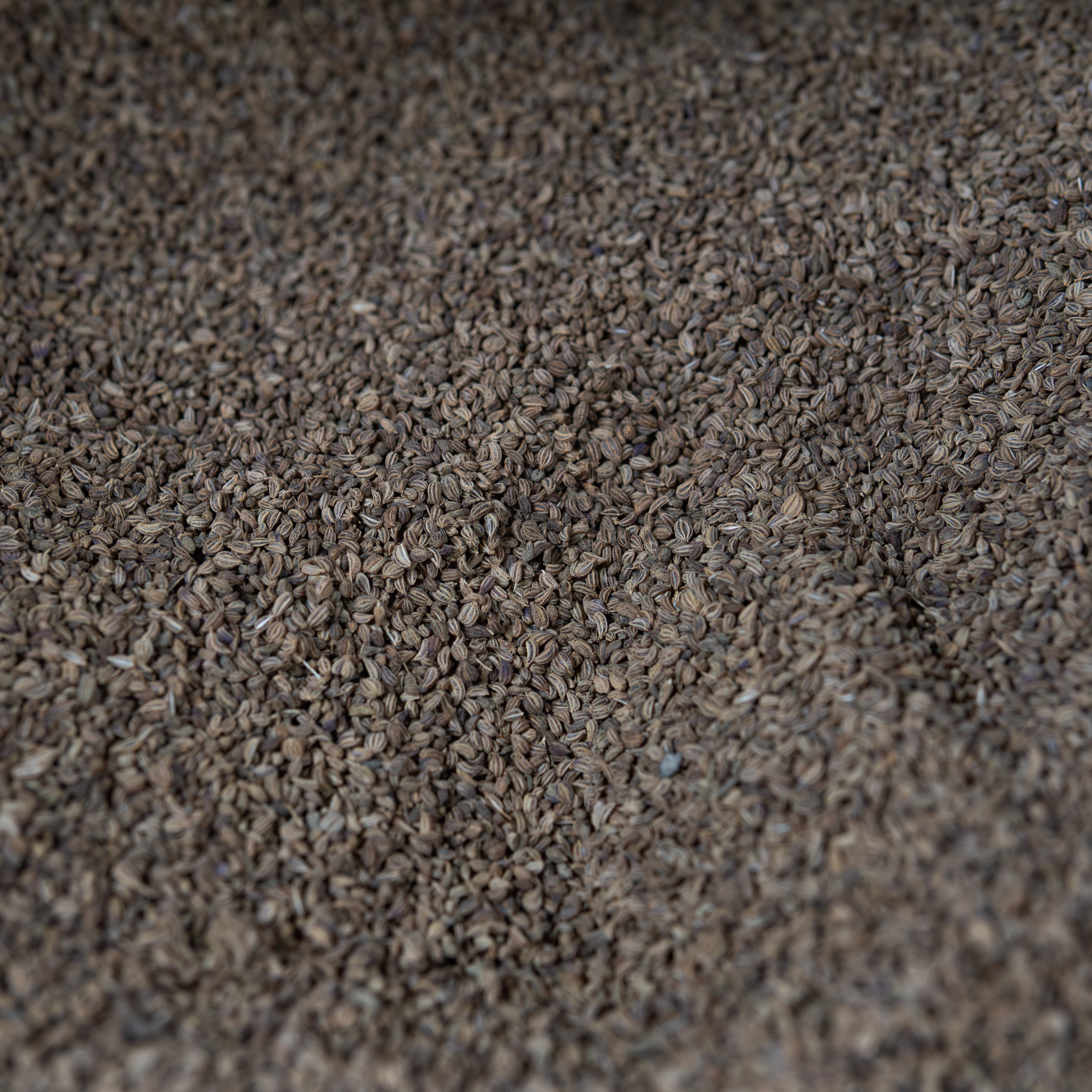 Organic Carom Seeds | Pure Carom Seeds | Ajwain Seeds | Organic Ajwain | Whole Carom Seeds