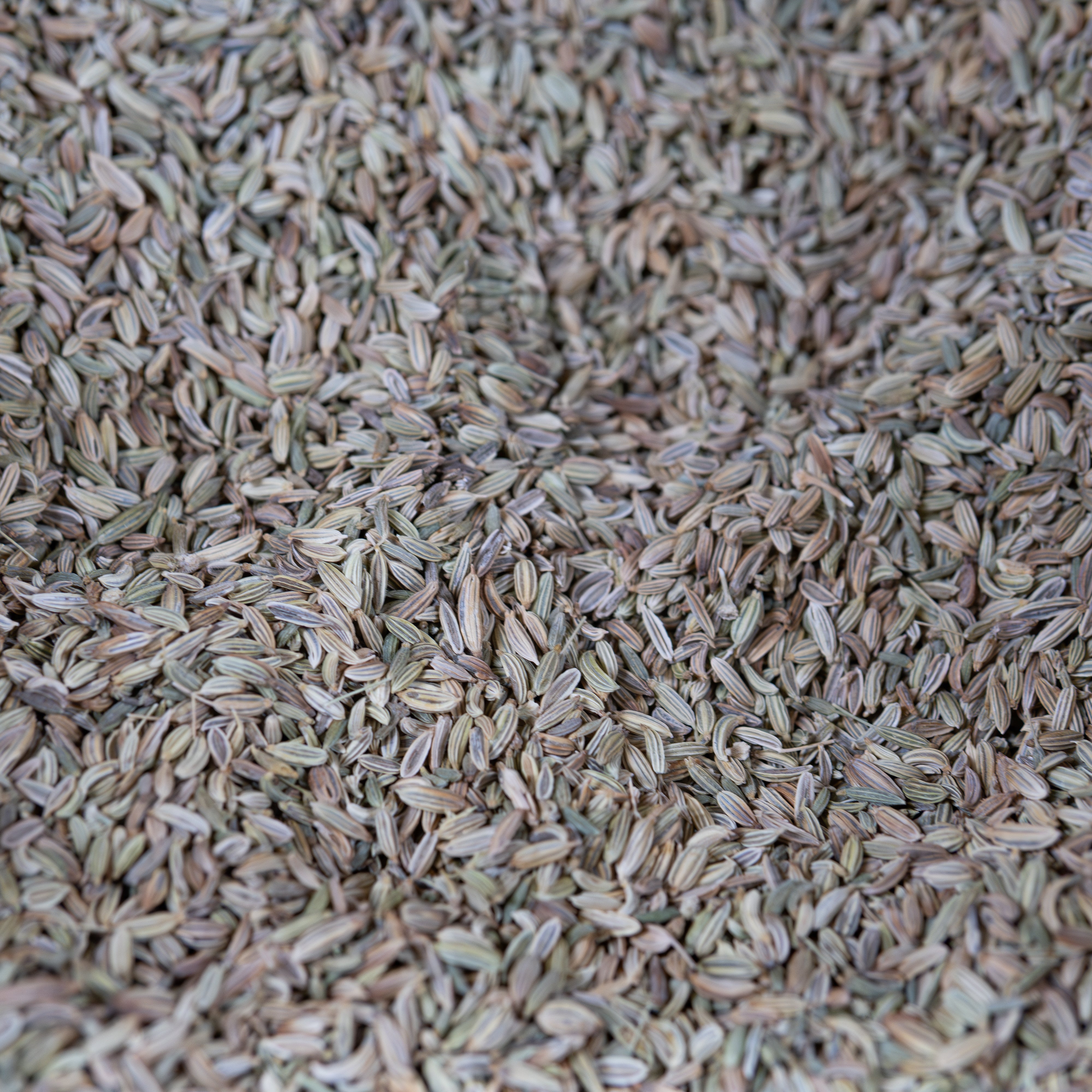 Organic Cumin Seeds (Jeera) | Whole Cumin Seeds | | Organic Jeera | Ideal for traditional Cooking & Masalas