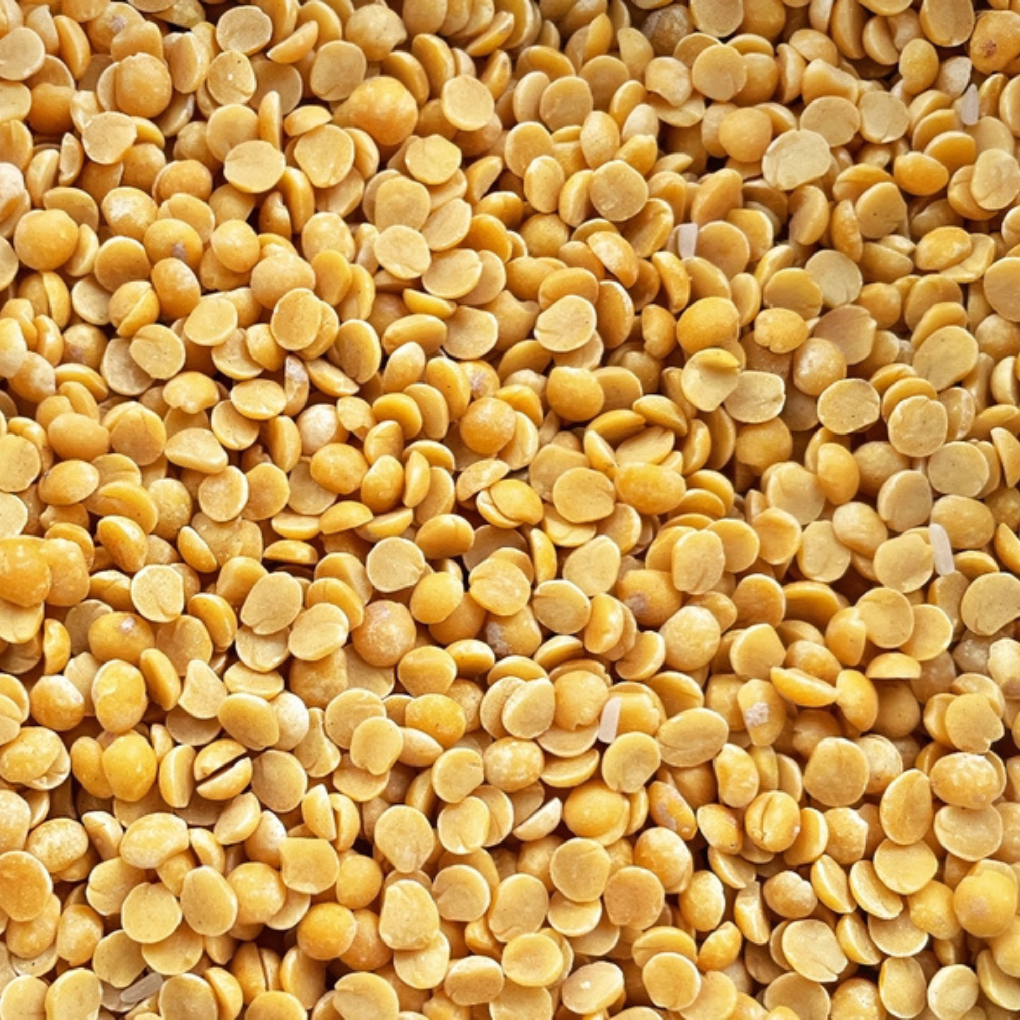Organic Pigeon Peas Lentil | Organic Toor Lentil | High Protein Lentils | Unpolished Tur Daal | Non GMO