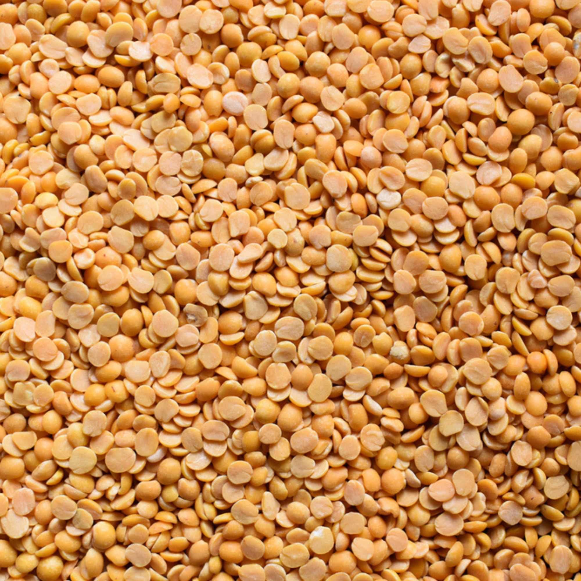 Organic Pigeon Peas Lentil | Organic Toor Lentil | High Protein Lentils | Unpolished Tur Daal | Non GMO