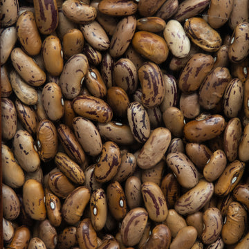 Kidney Beans | Pink Kidney Beans | Chitra Rajma | Organic Kidney Beans | High Protein Kidney Beans | Low Fat Kidney Beans