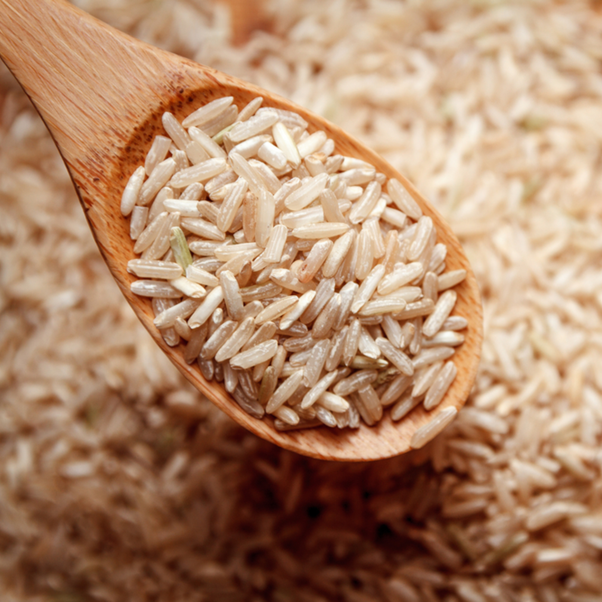 Brown Rice | Whole Grain Rice | High Fibre Rice | Organic Brown Rice