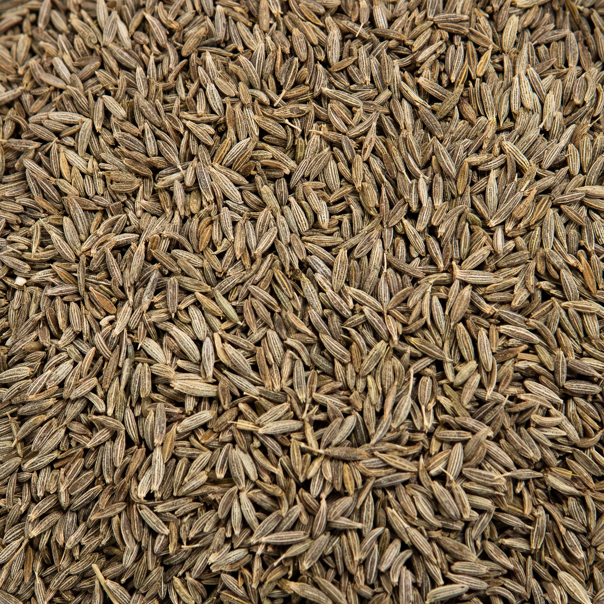 Organic Cumin Seeds (Jeera) | Whole Cumin Seeds | | Organic Jeera | Ideal for traditional Cooking & Masalas
