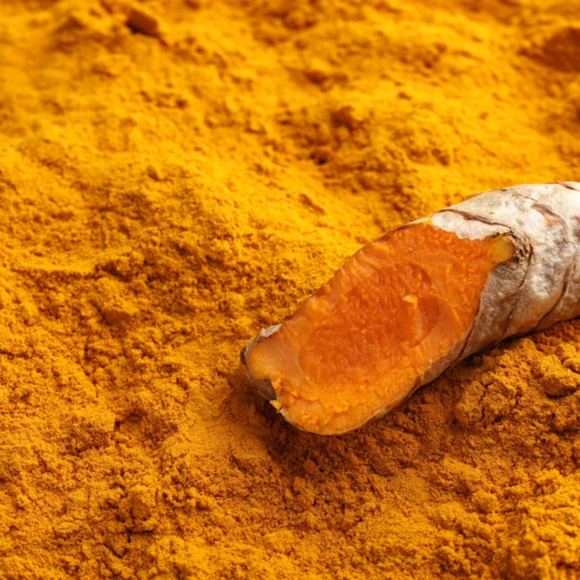 Organic turmeric powder | Curcumin Rich Turmeric | Ayurvedic Turmeric ...
