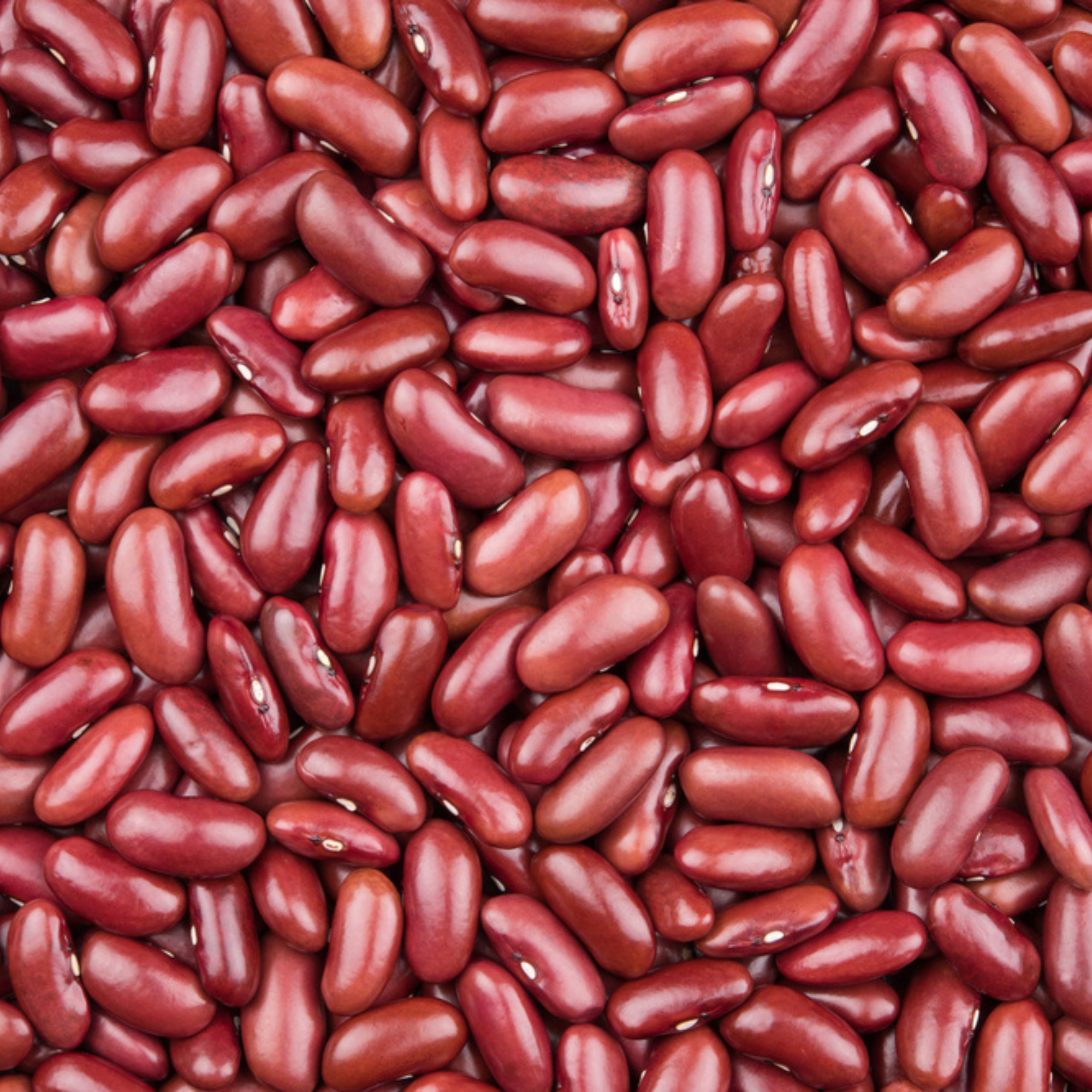 Red Kidney Beans | Red Rajma | High Protein, Iron-Rich Kidney Beans | Organic Rajma | GMO Free