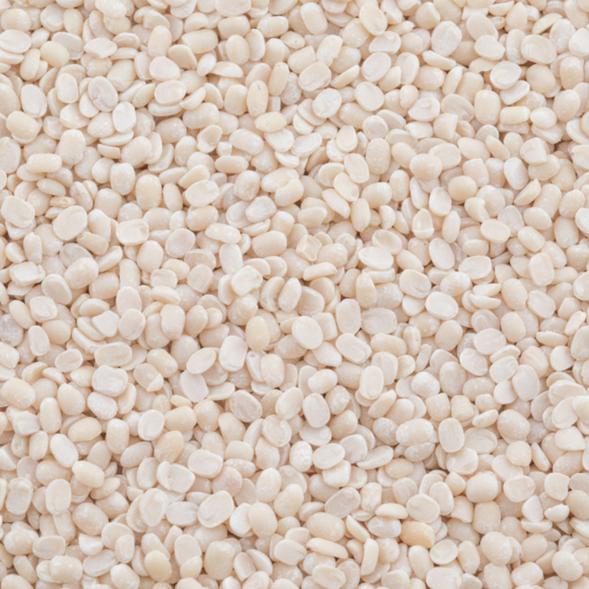 Unpolished Split White Gram Lentil | High Protein Lentil | Ideal for Idli, Dosa & Dal Tadka | Rich in Iron & Fiber| GMO Free