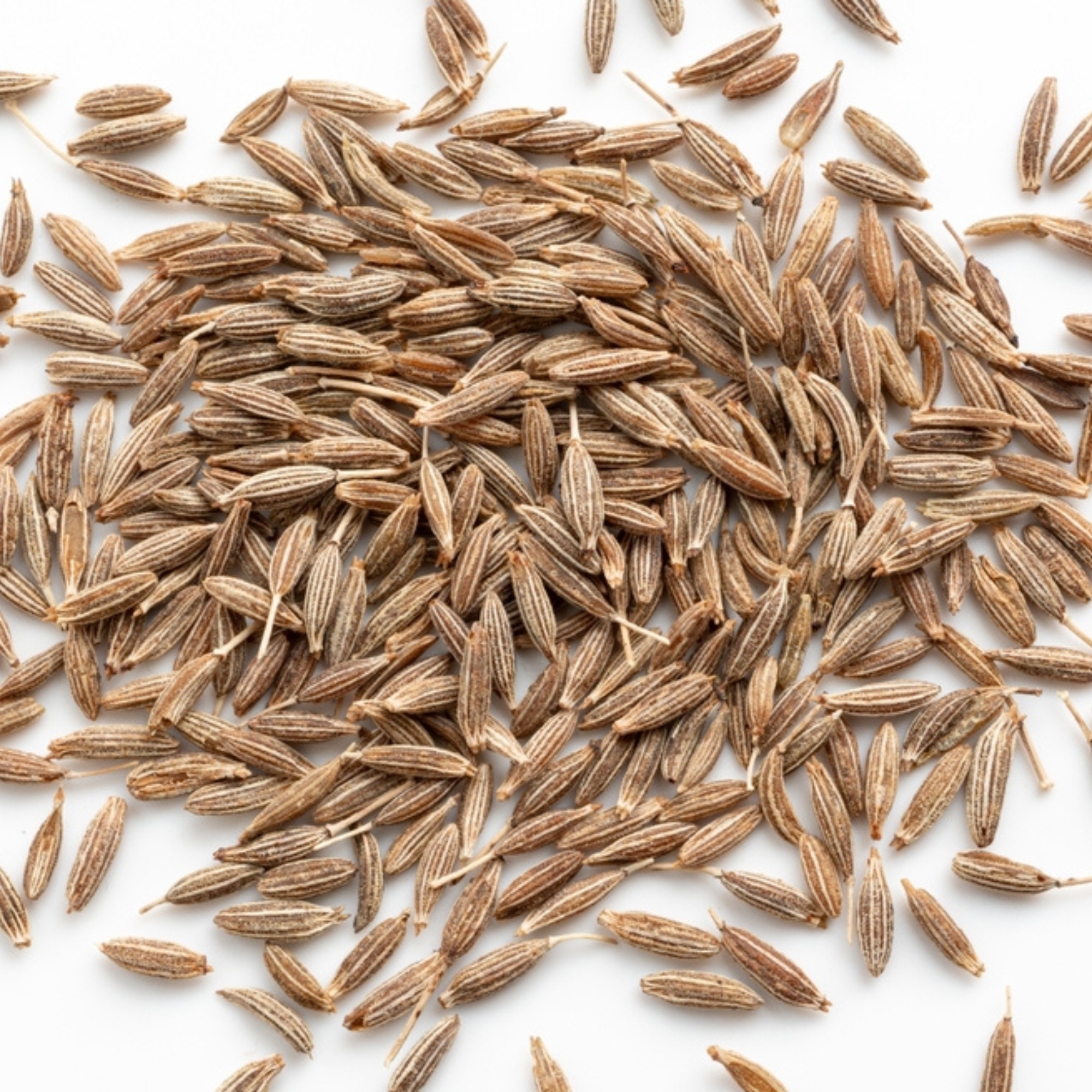 Organic Cumin Seeds (Jeera) | Organic, Warming & Digestive