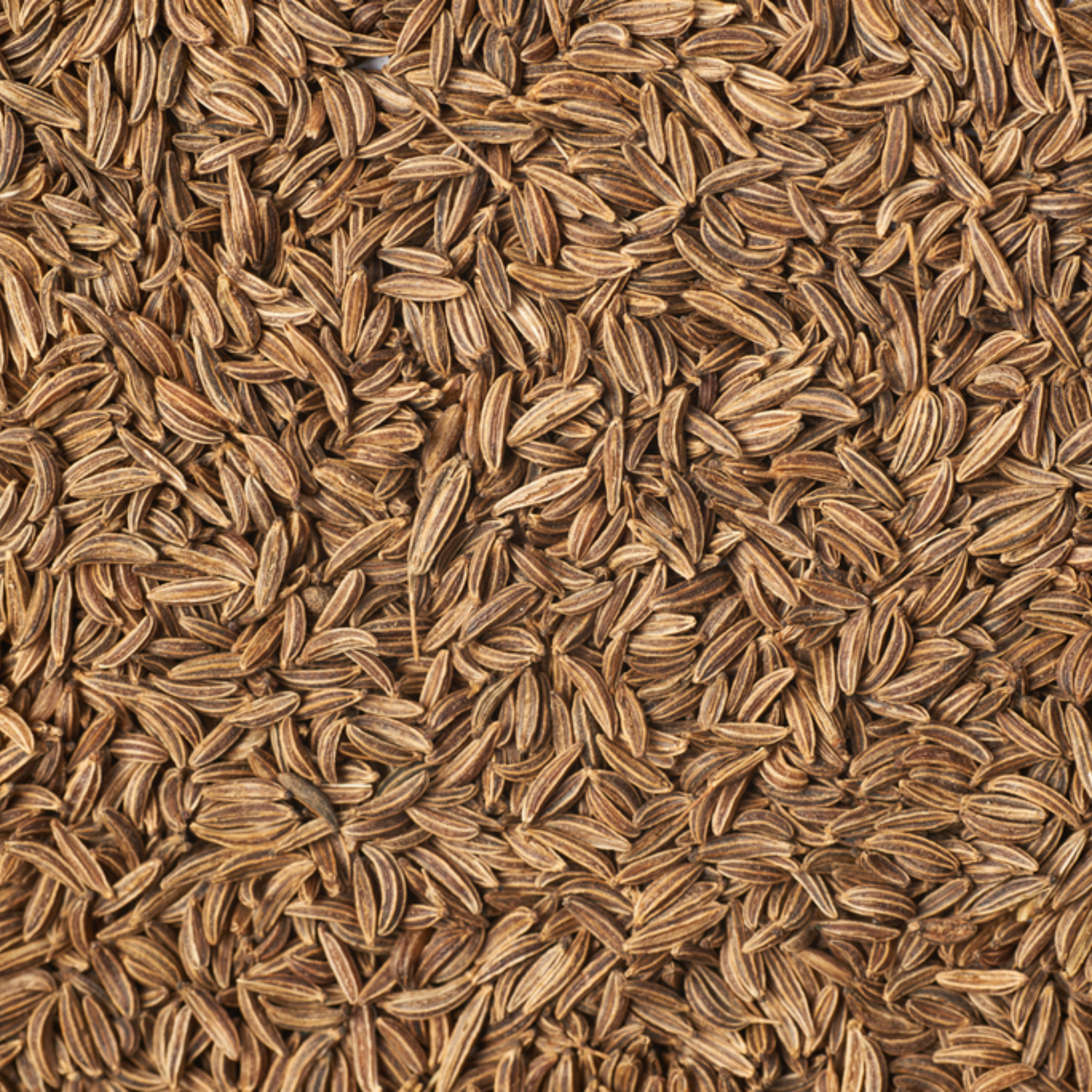 Organic Cumin Seeds (Jeera) | Organic, Warming & Digestive