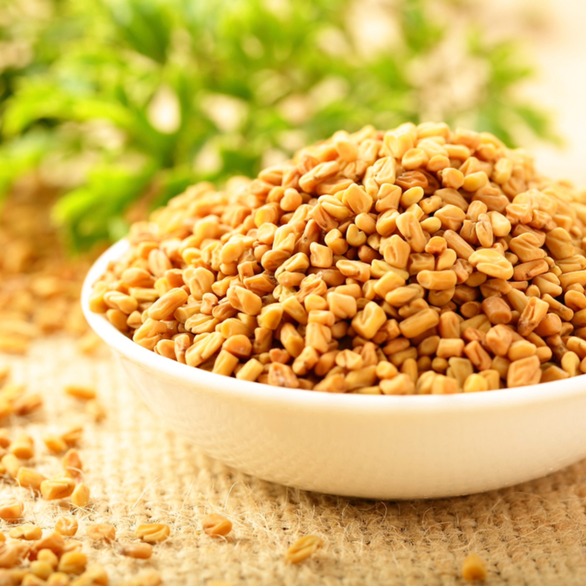 Organic Fenugreek Seeds (Methi) | Organic Ayurvedic Digestive Seed