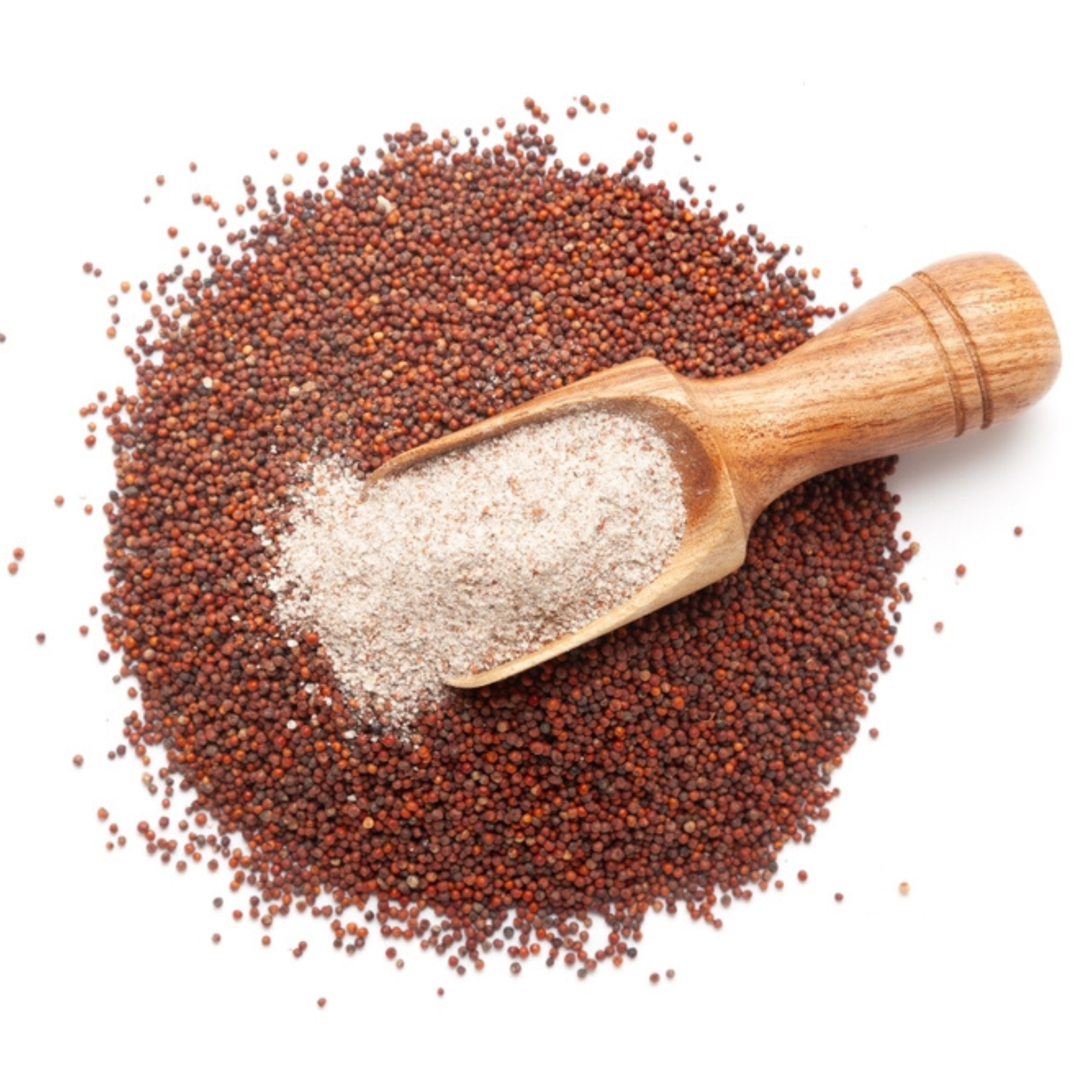 Sprouted Ragi Flour (Nachni Satva) | Ancient Alkaline Millet