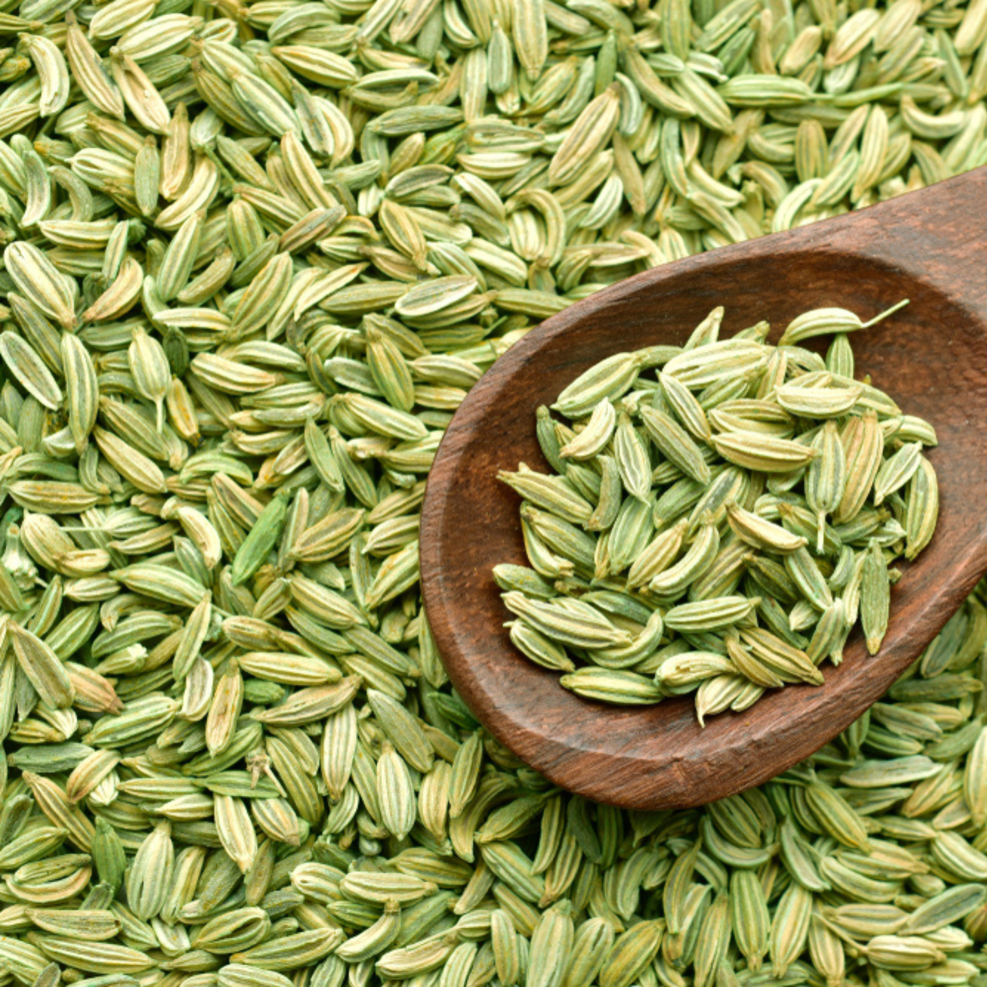 Organic Fennel Seeds (Saunf) | Organic, Sweet & Naturally Cooling