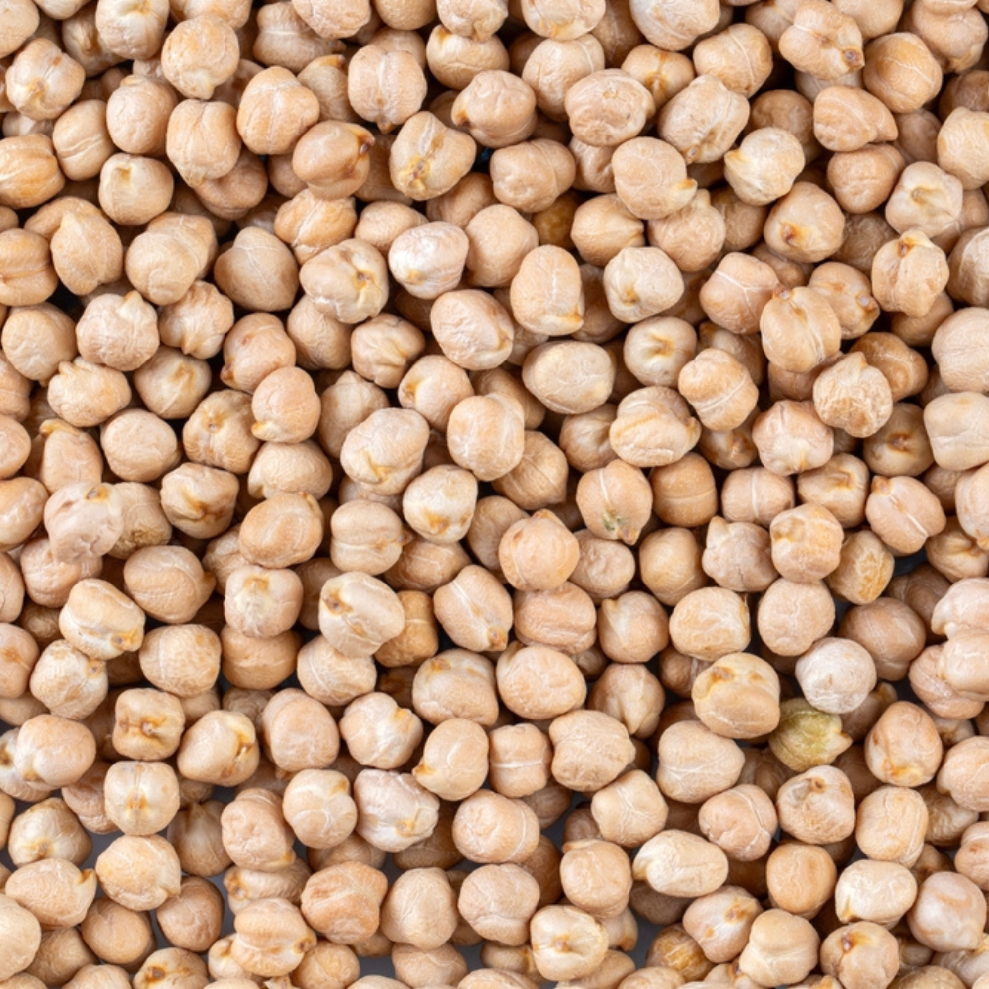 White Chickpeas | Organic White Chickpeas | White Chana | High Protein Chickpeas | Low GI Pulses | Unpolished Kabuli Chana | Plant-Based Protein Foods